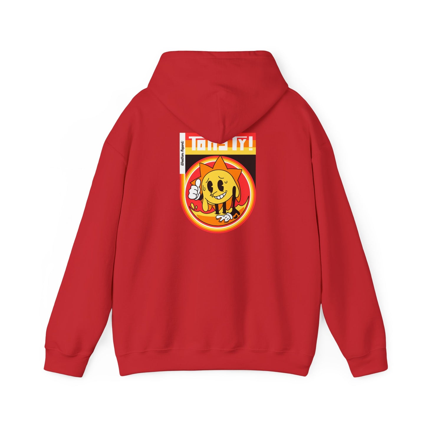 TOASTY Unisex Heavy Blend Hooded Sweatshirt (Weather Report Collection)