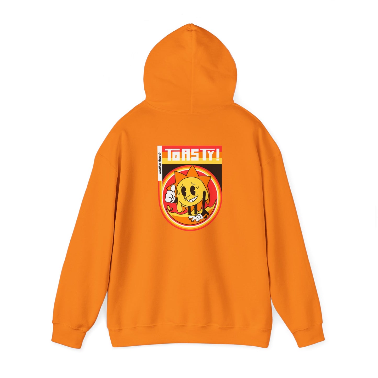 TOASTY Unisex Heavy Blend Hooded Sweatshirt (Weather Report Collection)