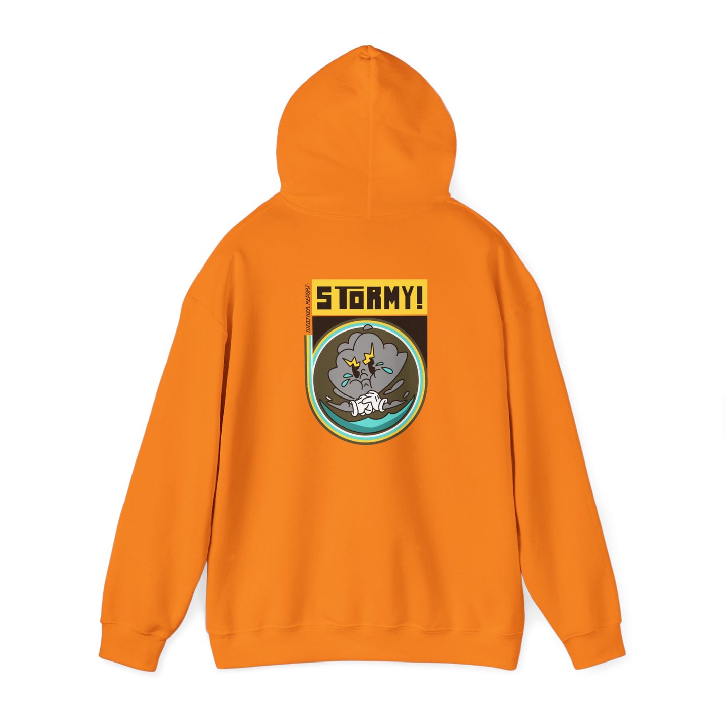 STORMY Unisex Heavy Blend Hooded Sweatshirt (Weather Report Collection)