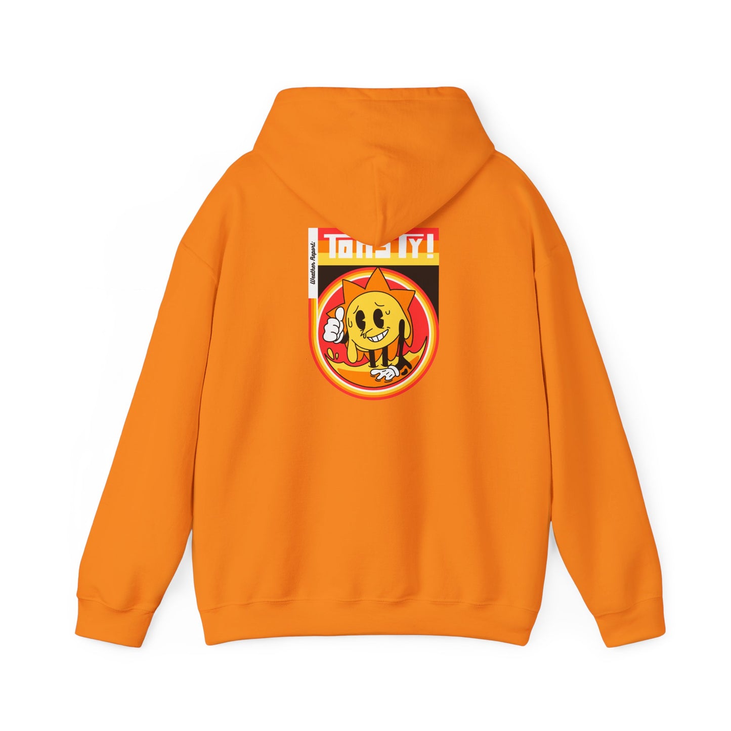 TOASTY Unisex Heavy Blend Hooded Sweatshirt (Weather Report Collection)